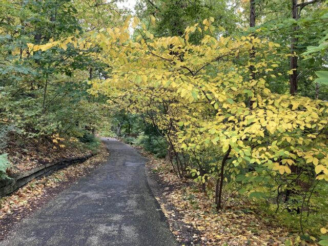 Leaf Trail Self-Guided Tour